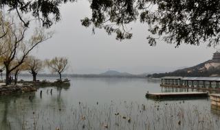 一平方公里是多少亩