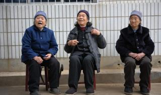 2024农合每人多少钱