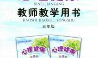 0和1第一次教学视频