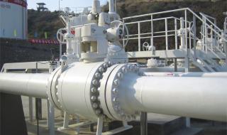 上海阀门厂有限公司