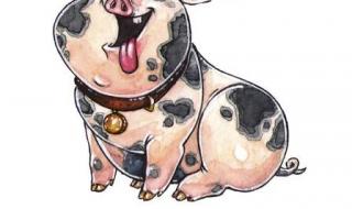 什么命 五行属什么 2023是什么年属什么年