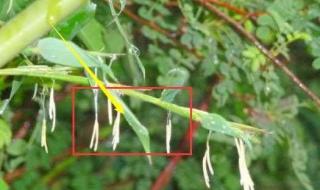 一个人要发财的预兆