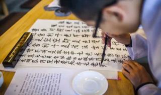 小学生抄写新闻20字 小学生抄写新闻20字