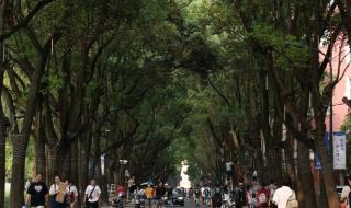 上海理工大学图书馆 上海理工大学图书馆